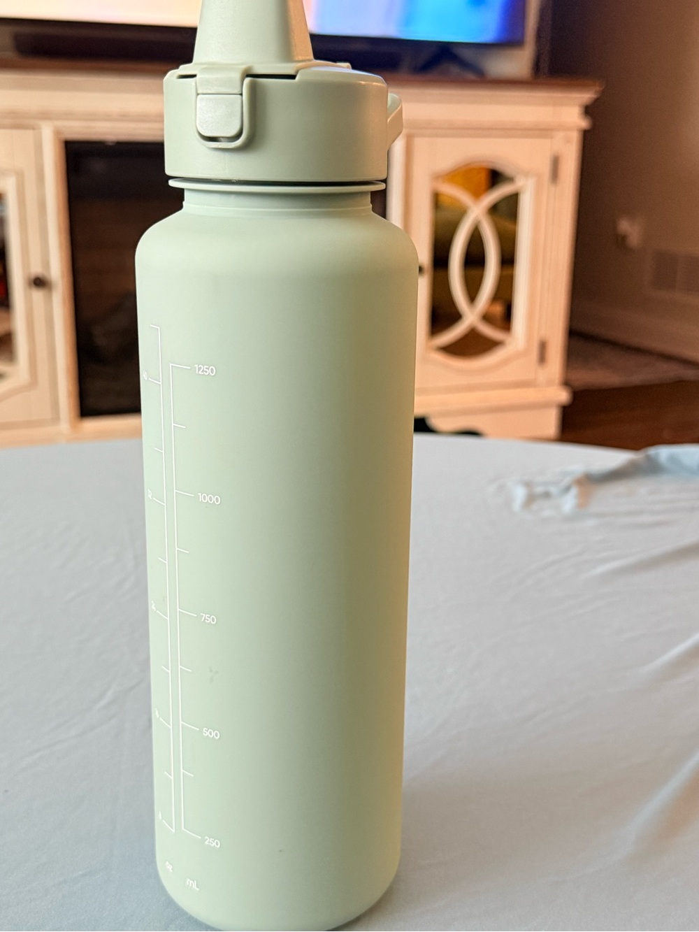 Simple Modern Mint Green Insulated Water Bottle - Brand